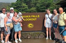Hilo Cruise Day Tours