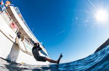 Molokini Snorkel + Kids Go FREE! (Two Snorkel Spots)