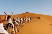 6 Day Fez to Marrakech Via Desert & Gorges -2 nights in Fez