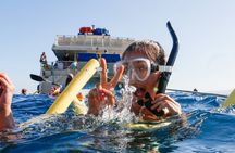 Molokini Snorkel + Kids Go FREE! (Two Snorkel Spots)