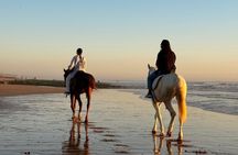 Taghazout Sunset Horse Ride