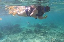 Snorkel with Turtles-Akumal Bay
