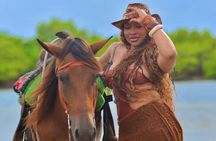Punta Cana Horseback Riding on the Beach with Hotel Pickup