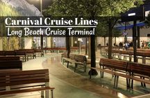 Tour of LA and Hollywood from Carnival Cruise Ship Terminal