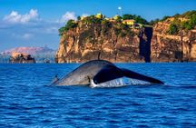 Trincomalee: Whales Watching and Navy Island Snorkeling Tour