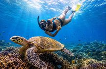 Trincomalee: Whales Watching and Navy Island Snorkeling Tour
