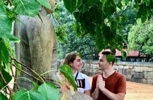 Anuradhapura and Mihintale Heritage Tour with Mini Car