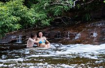 Suoi Tien 4-Hour Jungle Easy Trek and Spring Bath