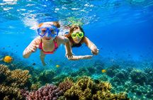 Trincomalee: Whales Watching and Navy Island Snorkeling Tour