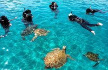 Redang Island Snorkeling Day Trip Experience