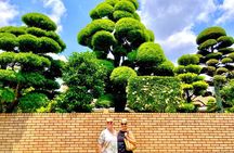 Shop, Choose & Cook Japanese Dishes