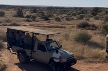 N/a'an ku se Wildlife Sanctuary Day Trip From Windhoek