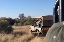 N/a'an ku se Wildlife Sanctuary Day Trip From Windhoek