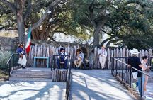 San Antonio and Missions Highlight Tour 3 Hours Small Group