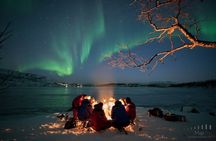 Tromsø: Northern Light Tour | 98% Success Rate | Full Arctic Gear