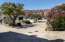 Island Hopping Tour of the Šibenik Archipelago with Lunch