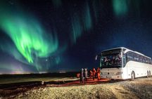 Reykjavik: Aurora Hunt Bus Tour with Hot Cocoa