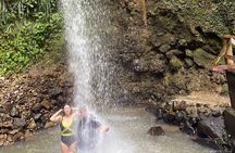 St.Lucia Rum & Mud Bath Tour