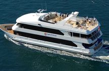 Naples Luxury Sightseeing Cruises
