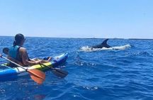 Kayak & snorkel in Los Cristianos