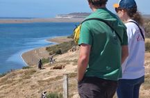 Private Shore Excursion to Peninsula Valdes