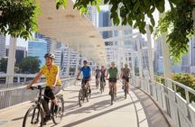 Brisbane Guided E-Bike Tour (Small Group, Bluetooth-Equipped)