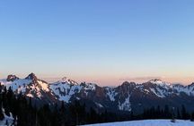Seattle Mt. Rainer with Sprinter Van Tour