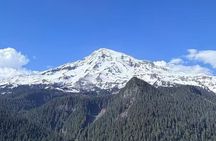 Seattle Mt. Rainer with Sprinter Van Tour