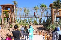Crocoparc Agadir Day Trip with Round-Trip Transportation