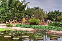 Crocoparc Agadir Day Trip with Round-Trip Transportation