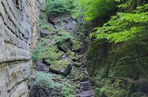 Mullerthal Walk: Berdorf Rocks, Clifftop Wine & the Wolf's Gorge