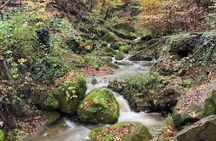 Mullerthal Walk: Berdorf Rocks, Clifftop Wine & the Wolf's Gorge