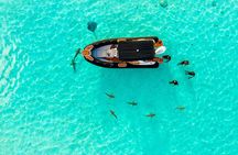 Moorea: Private 4-Hour High-End Boat Excursion