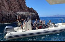Visit Scandola Nature Reserve and Piana Creeks