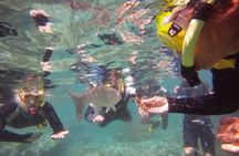 Get Wet Snorkeling Tour to Isla de Lobos from Corralejo