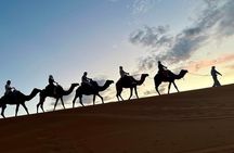 2D1N Marrakech to Fes/Marrakech: Erg Chebbi Luxury Camp & Quad