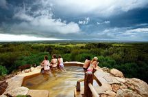Seals, Sea Dragons & Hot Springs Experience Mornington Peninsula