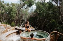 Dolphins, Seals and Hot Springs Experience Mornington Peninsula