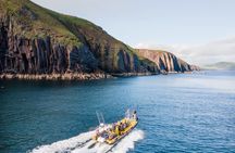Dingle Sea Safari - Rib boat tour in Dingle Bay