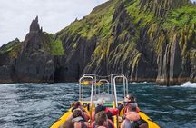 Dingle Sea Safari - Rib boat tour in Dingle Bay