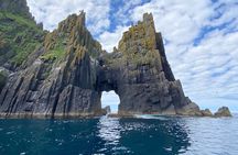 VIP Private hire bespoke Dingle Sea Safari rib tour