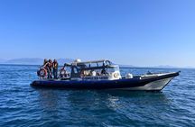 VIP Private hire bespoke Dingle Sea Safari rib tour