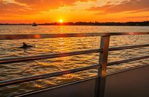 Sunset Dolphin Eco Tour