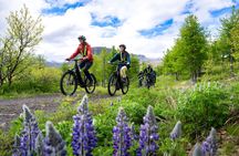 Guided E-Bike Tour in Isafjordur