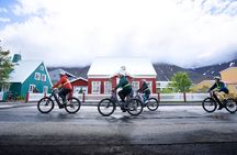 Guided E-Bike Tour in Isafjordur