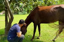 Taste the Real Peru: Live Cooking, Paso Horses & Farm Life