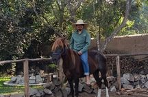 Taste the Real Peru: Live Cooking, Paso Horses & Farm Life