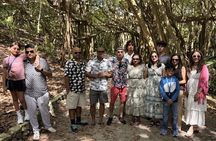 5 Hour Private Island Discovery Tour