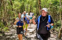 5 hidden cenotes jungle experience