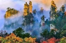 1-Day Best Mini Group & Private Tours to Mt. Avatar & Forest Park